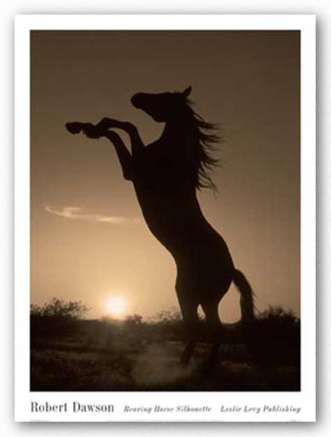 Rearing Horse Silhouette by Robert Dawson