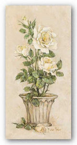 Shades Of Roses l by Barbara Mock