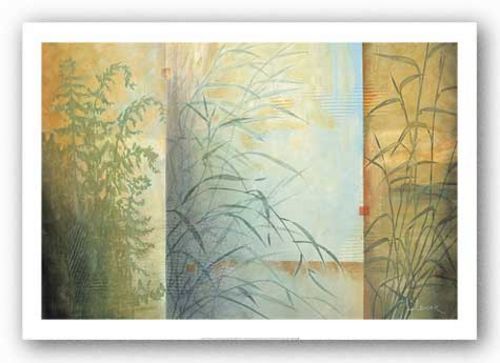 Ferns and Grasses by Don Li-Leger