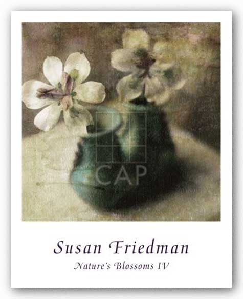 Nature's Blossoms IV by Susan Friedman