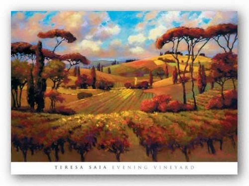 Evening Vineyard by Teresa Saia