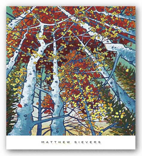 Seasons by Matthew Sievers