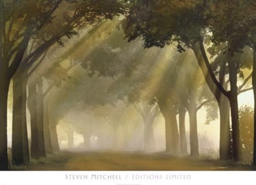 Misty Grove by Steven Mitchell