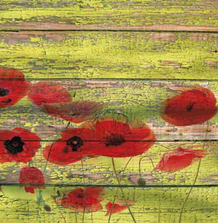 Red Poppies 1 by Irena Orlov