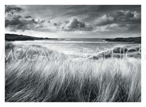 Sea Grass by Stephen Gassman