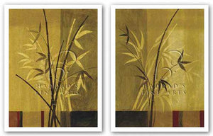 Bamboo Impressions Set by Fernando Leal