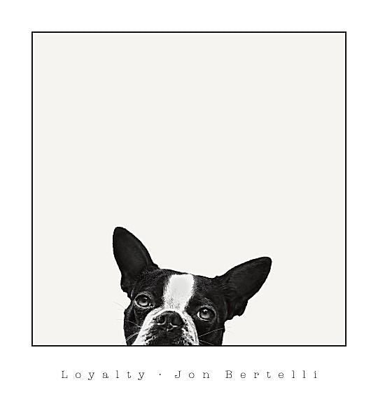 Loyalty by Jon Bertelli