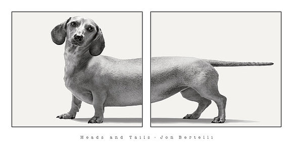 Heads and Tails by Jon Bertelli