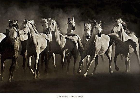 Dream Horses by Lisa Dearing