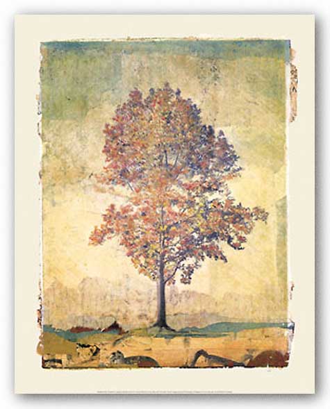 Autumn Tree by Donald Farnsworth