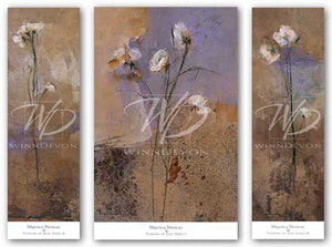 Flowers of June Series Set by Miquela Nicolau