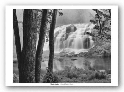 Bond Falls and Trees by Monte Nagler