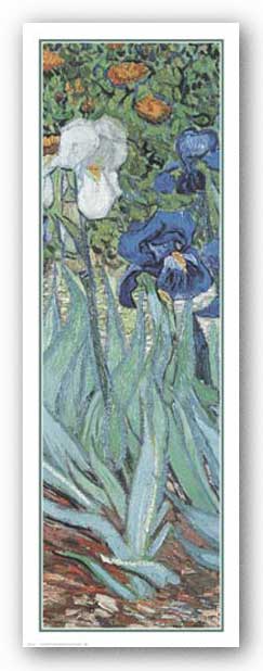 Iris by Vincent Van Gogh