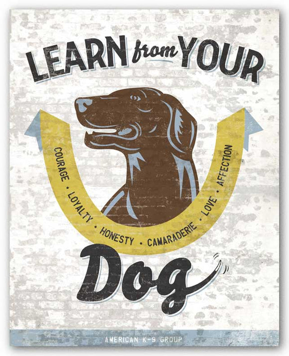 Learn From Your Dog by Luke Stockdale