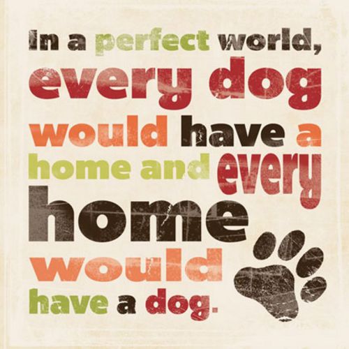 Perfect World (Dog) by Stephanie Marrott
