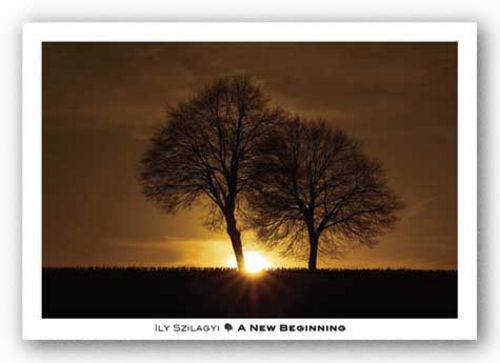 A New Beginning by Ily Szilagyi
