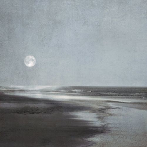 Moonlit Beach by Ily Szilagyi