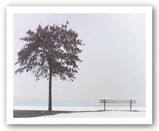 Bench: Oyster Bay, NY by Maya Nagel