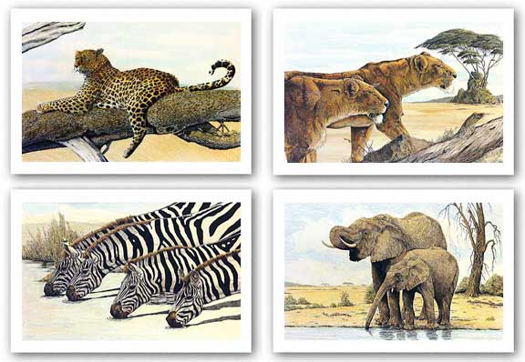 Resting Leopard-Hunting Lions-Four Zebras Drinking-Elephants By The Waterhole Set by Charles Berry