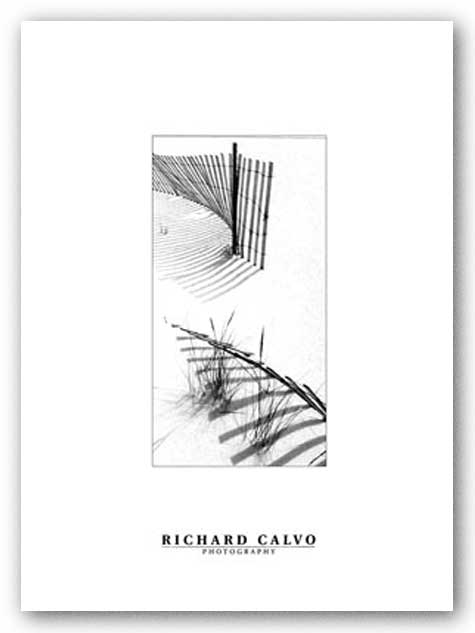 Snowfence En Passant by Richard Calvo