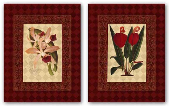 Red Botanical Set by Studio Voltaire