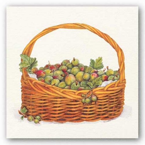Basket Of Gooseberries by Bambi Papais