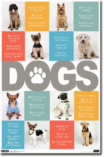 Dogs - ABCs