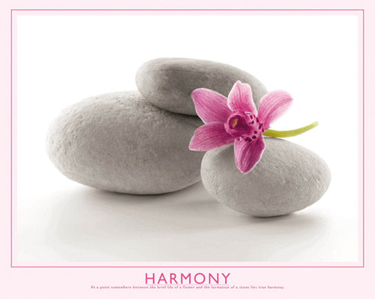 Harmony - Rocks and Flower