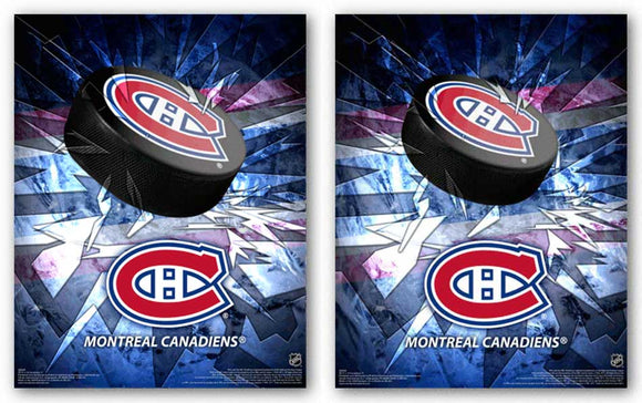 Montreal Canadiens - 3D