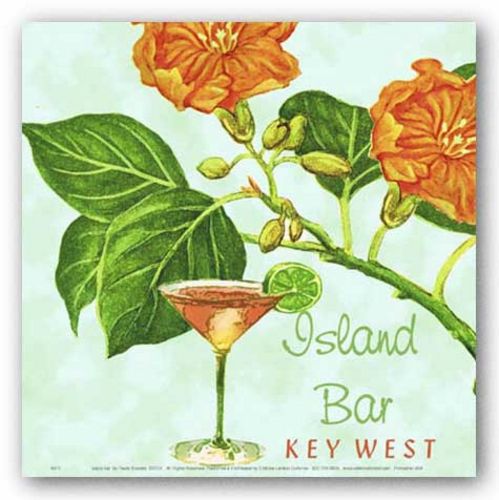 Island Bar by Paula Scaletta