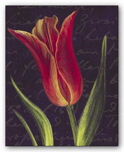 Tulip by JM Designs