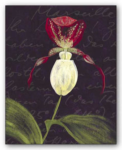 Orchid by JM Designs