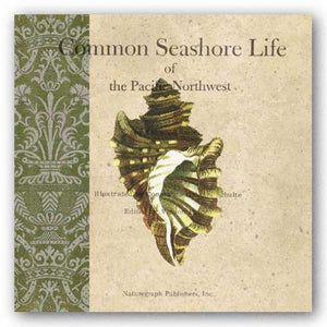 Seashore Life by Paula Scaletta