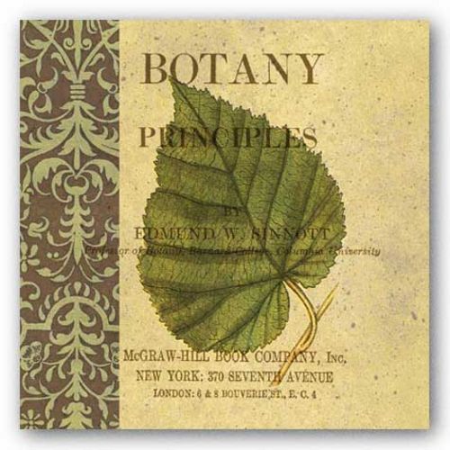 Botany Principles III by Paula Scaletta