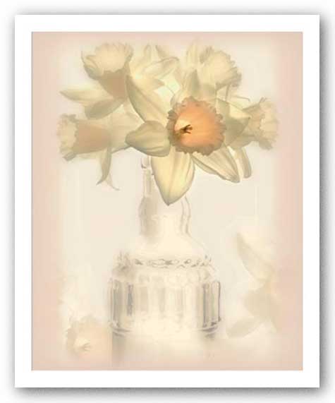 Lovely Daffodil by Donna Geissler
