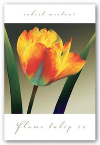 Flame Tulip II by Robert Mertens