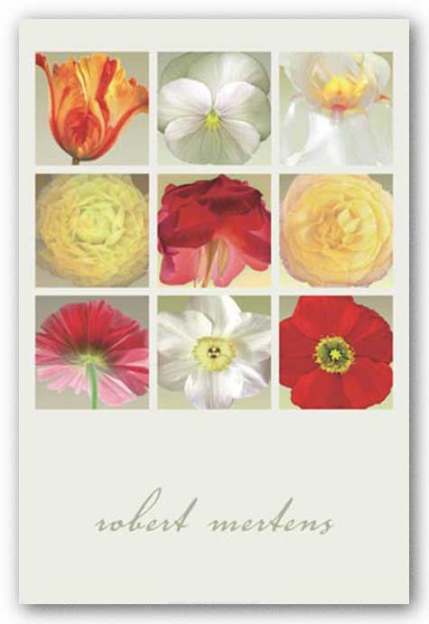 Flowers Collection by Robert Mertens