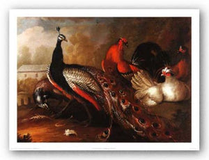 Peacock and Pheasant by Marmaduke Craddock