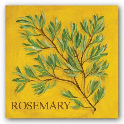 Rosemary by Kate McRostie