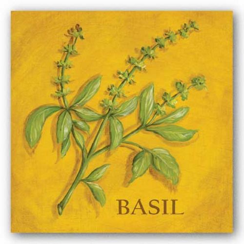 Basil by Kate McRostie