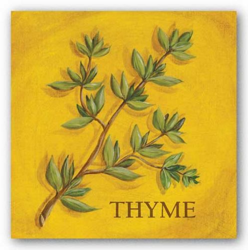 Thyme by Kate McRostie