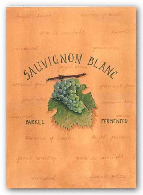 Sauvignon Blanc by Katharine Gracey