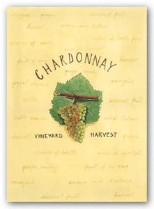 Chardonnay by Katharine Gracey