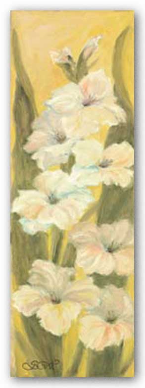 White Gladiolus by Shari White