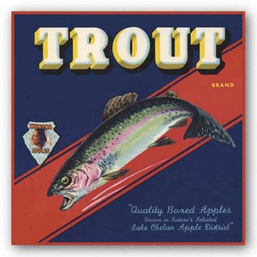 Trout by Miles Graff Collection