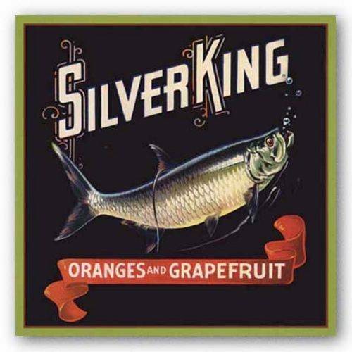 Silver King by Miles Graff Collection