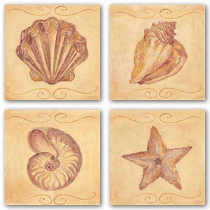 Starfish, Nautilus, Conch, and Scallop Set by Shari White