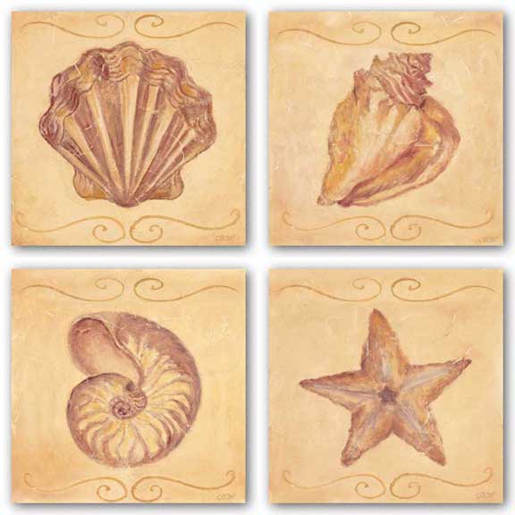 Starfish, Nautilus, Conch, and Scallop Set by Shari White