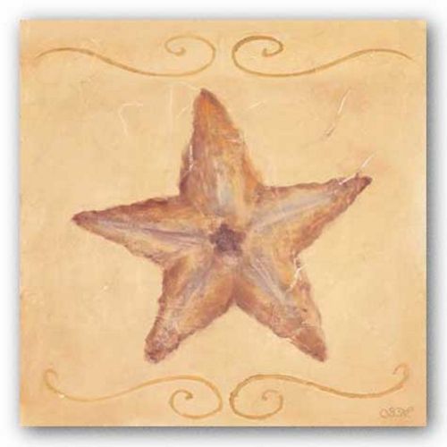 Starfish by Shari White