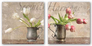 Dutch Tulips Set by Guy Cali Gaetano Images, Inc.